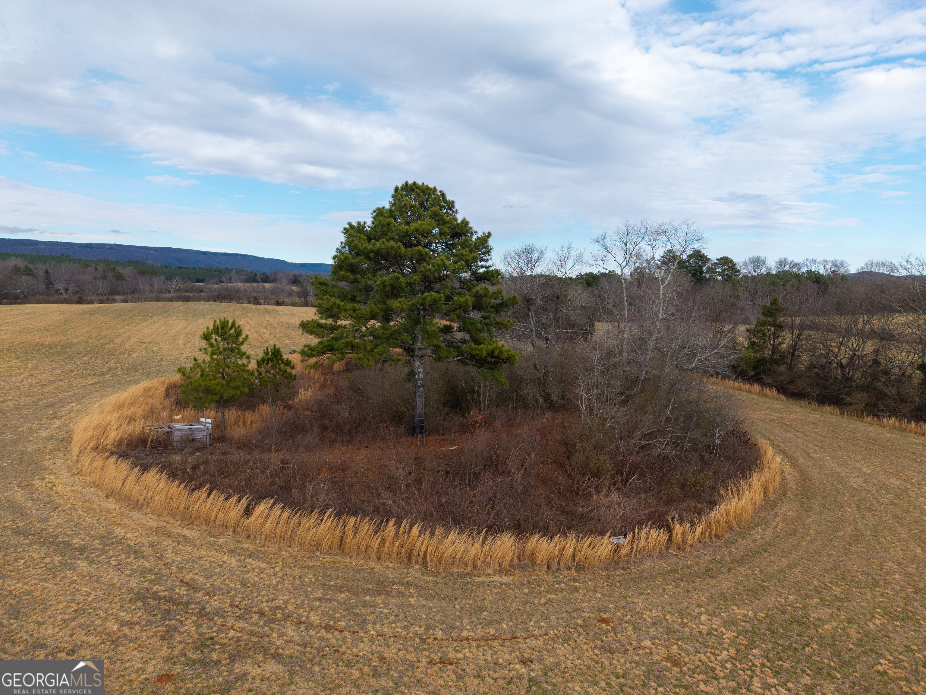 0 Old Highway 337 Menlo, GA 30731 - Photo 9 of 42 a view of a lake with a mountain in the background
