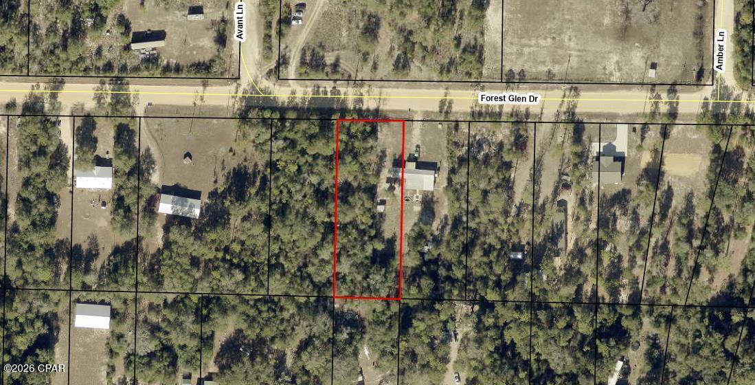 0 Forest Glen Road Fountain, FL 32438 - Photo 7 of 8