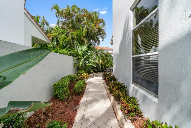a view of a pathway with flower plants