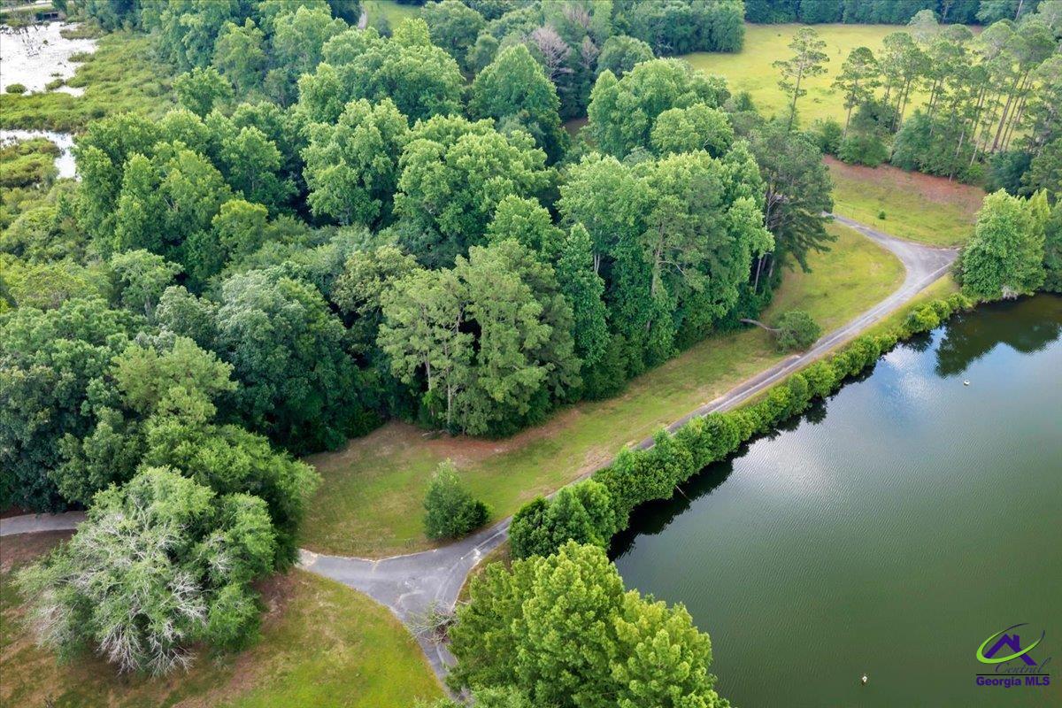 1060 Cooks Mill Road Oglethorpe, GA 31068 - Photo 81 of 100 Gallery Image 81