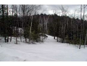 L2 Lockes Corner Road Alton, NH 03809 - Photo 4 of 5
