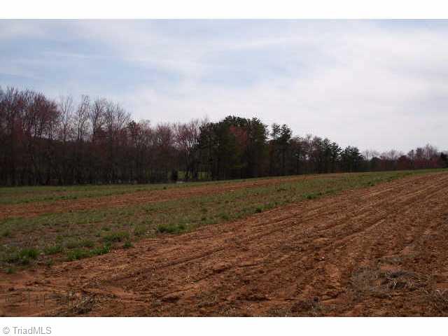 Lot 3 Volunteer Road Pinnacle, NC 27043 - Photo 3 of 6 Other.