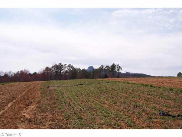 Lot 3 Volunteer Road Pinnacle, NC 27043 - Photo 4 of 6 Other.