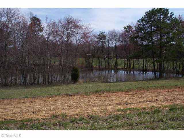Lot 3 Volunteer Road Pinnacle, NC 27043 - Photo 5 of 6 Other.