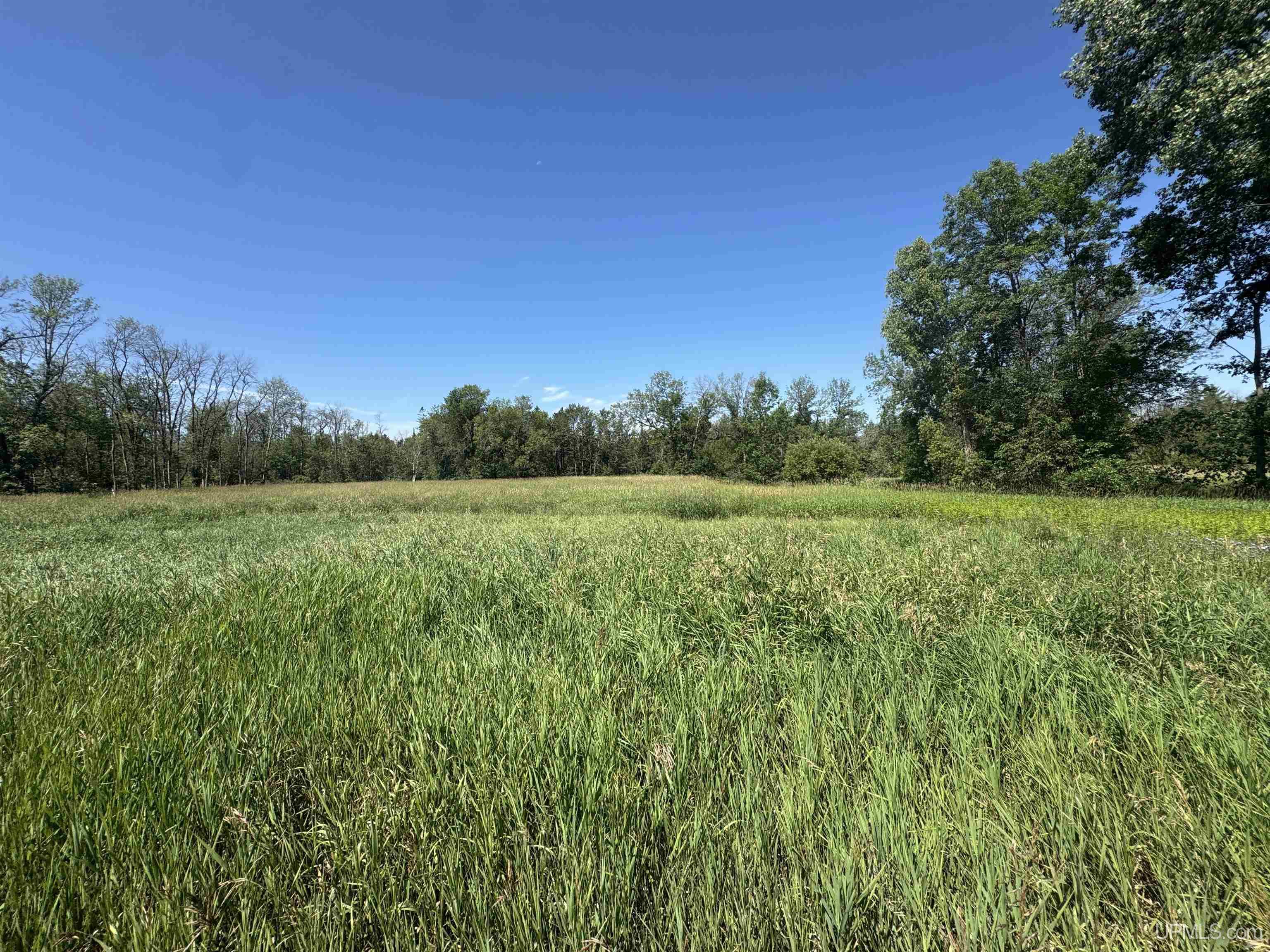 N102999 State Highway Daggett, MI 49821 - Photo 62 of 66