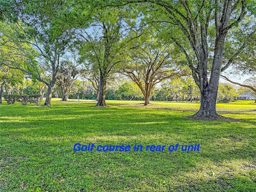 12820 Wedgewood Way, Unit D Hudson, FL 34667 - Photo 48 of 81