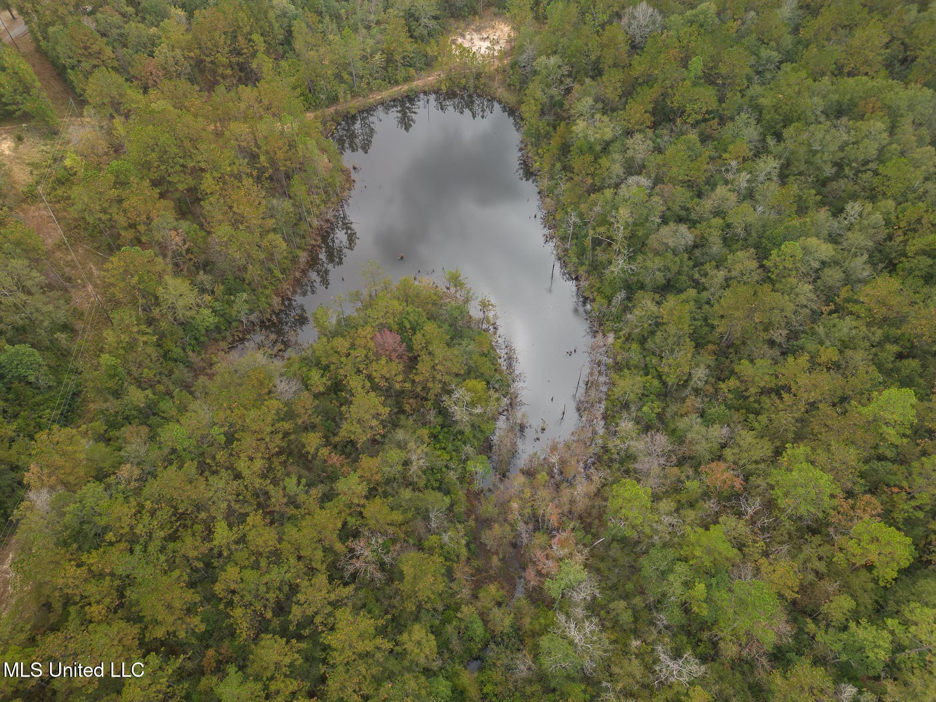 Scott Road Lucedale, MS 39452 - Photo 3 of 30 1000031785