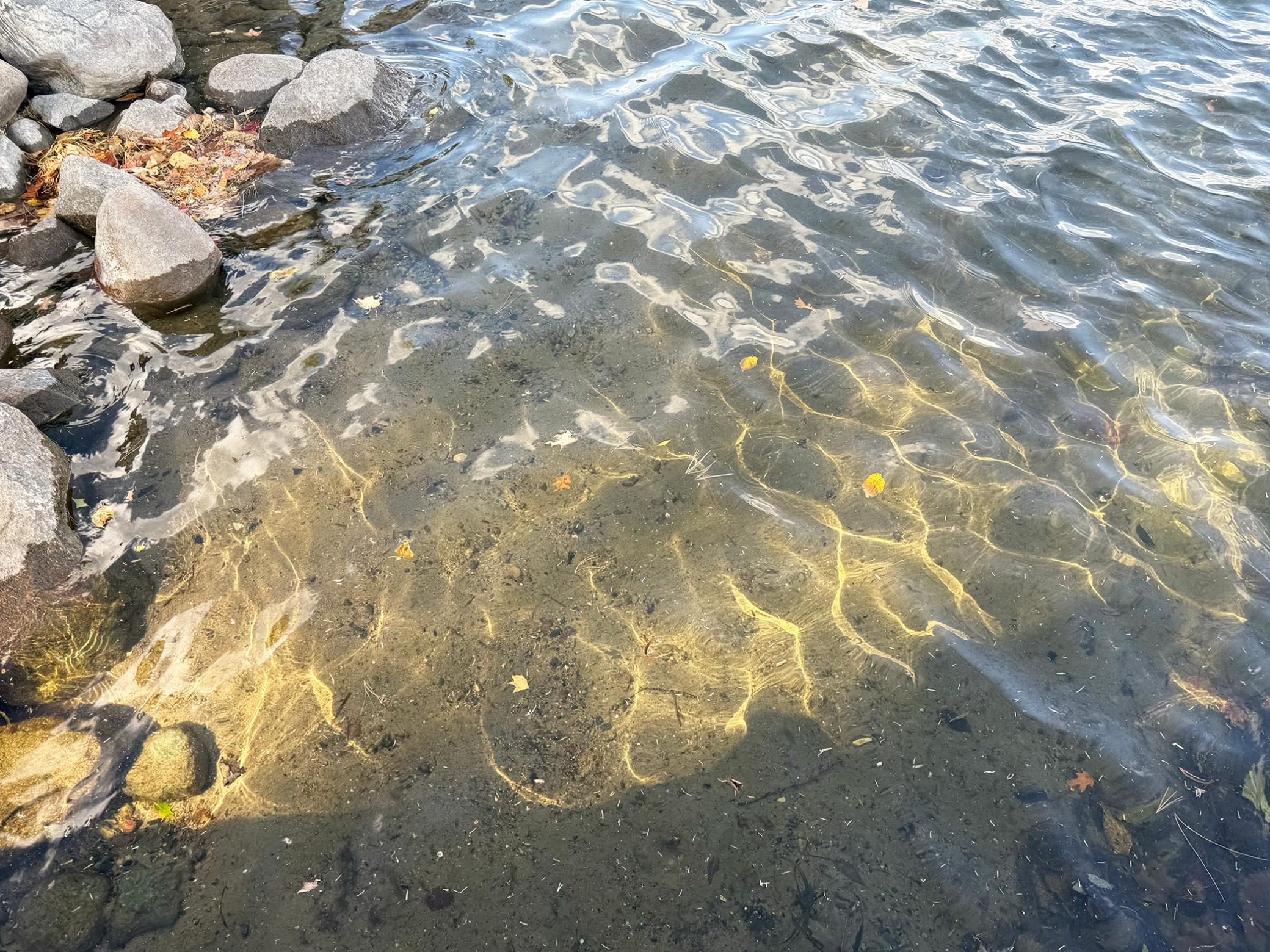 1060 Sarajac Road Northeast, Unit 3 Longville, MN 56655 - Photo 24 of 43