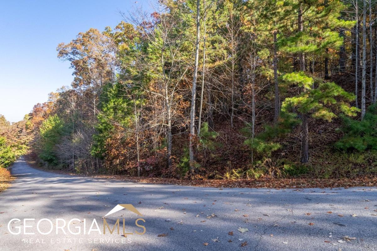 a view of a yard with plants and trees