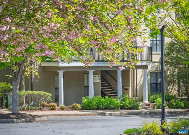 front view of a house with a tree