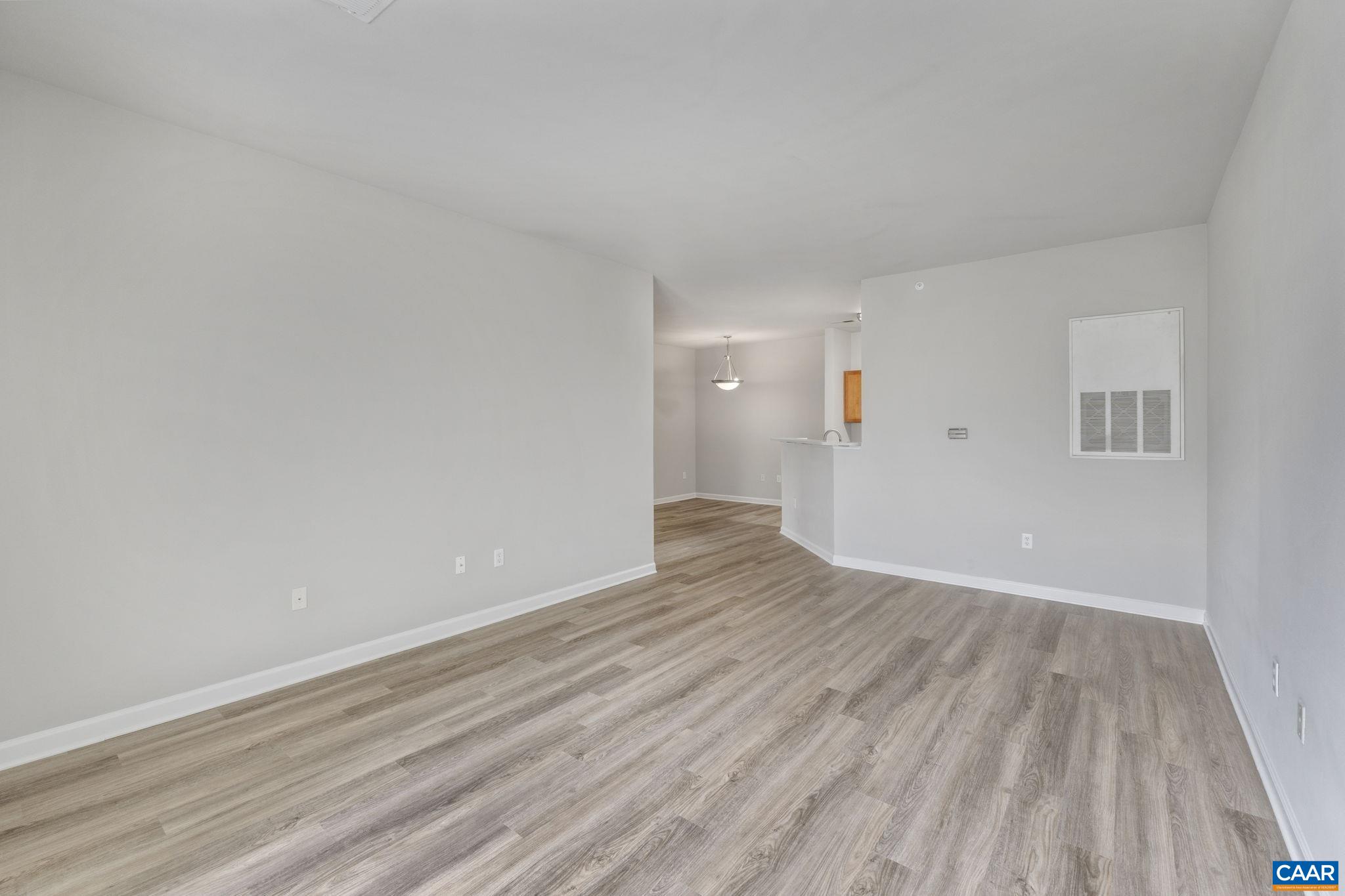 745 Walker Square, Unit 3B Charlottesville, VA 22903 - Photo 9 of 52 New LVP Flooring