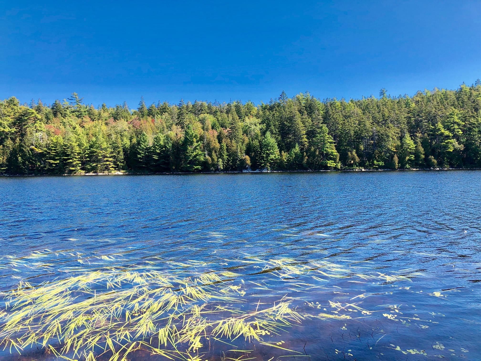 58 Daddy Johnny Road Tremont, ME 04674 - Photo 43 of 52 Pond