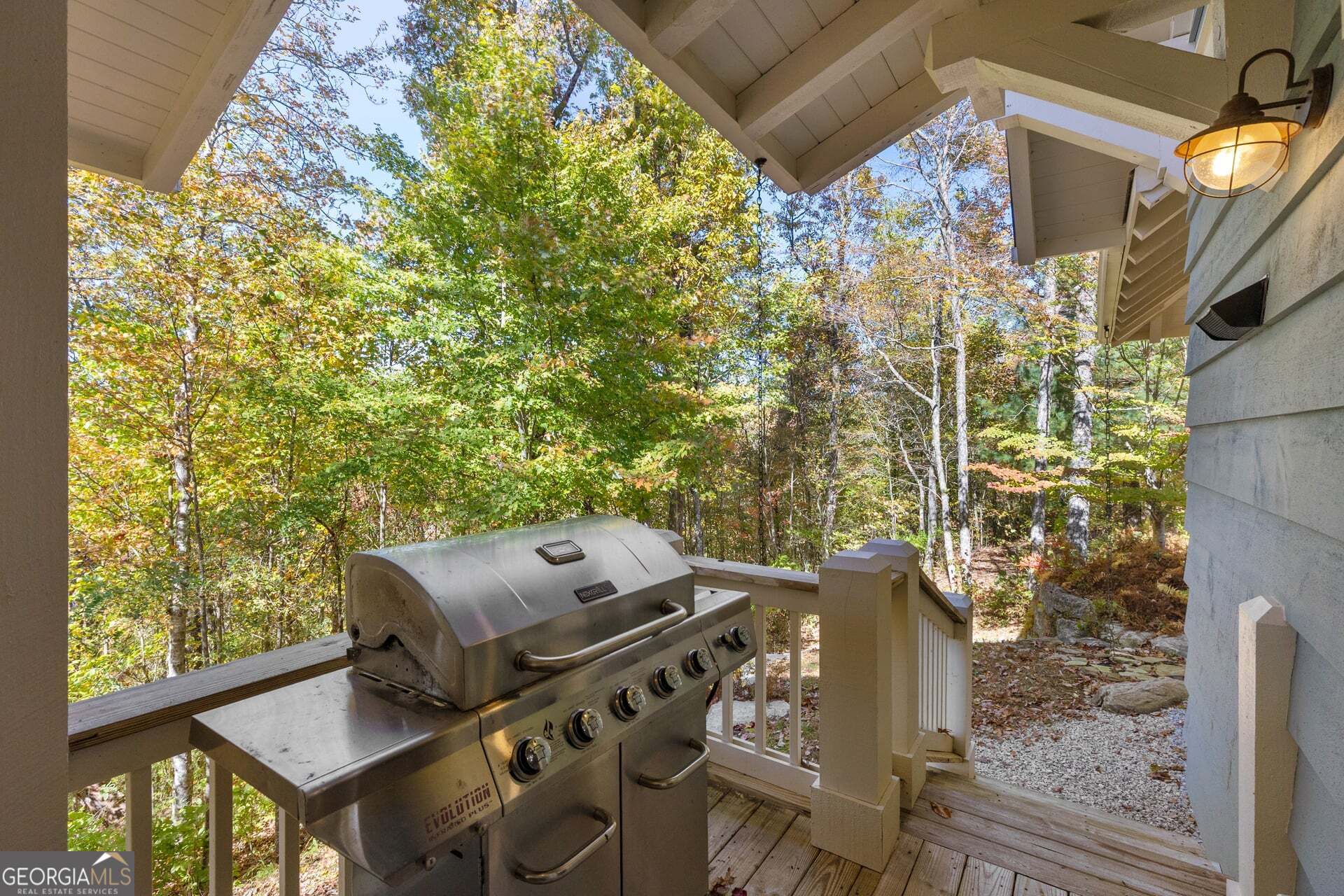 2473 Highland Gap Road Scaly Mountain, NC 28775 - Photo 26 of 93