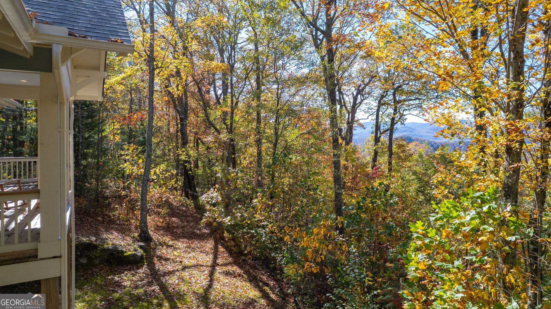 2473 Highland Gap Road Scaly Mountain, NC 28775 - Photo 29 of 93