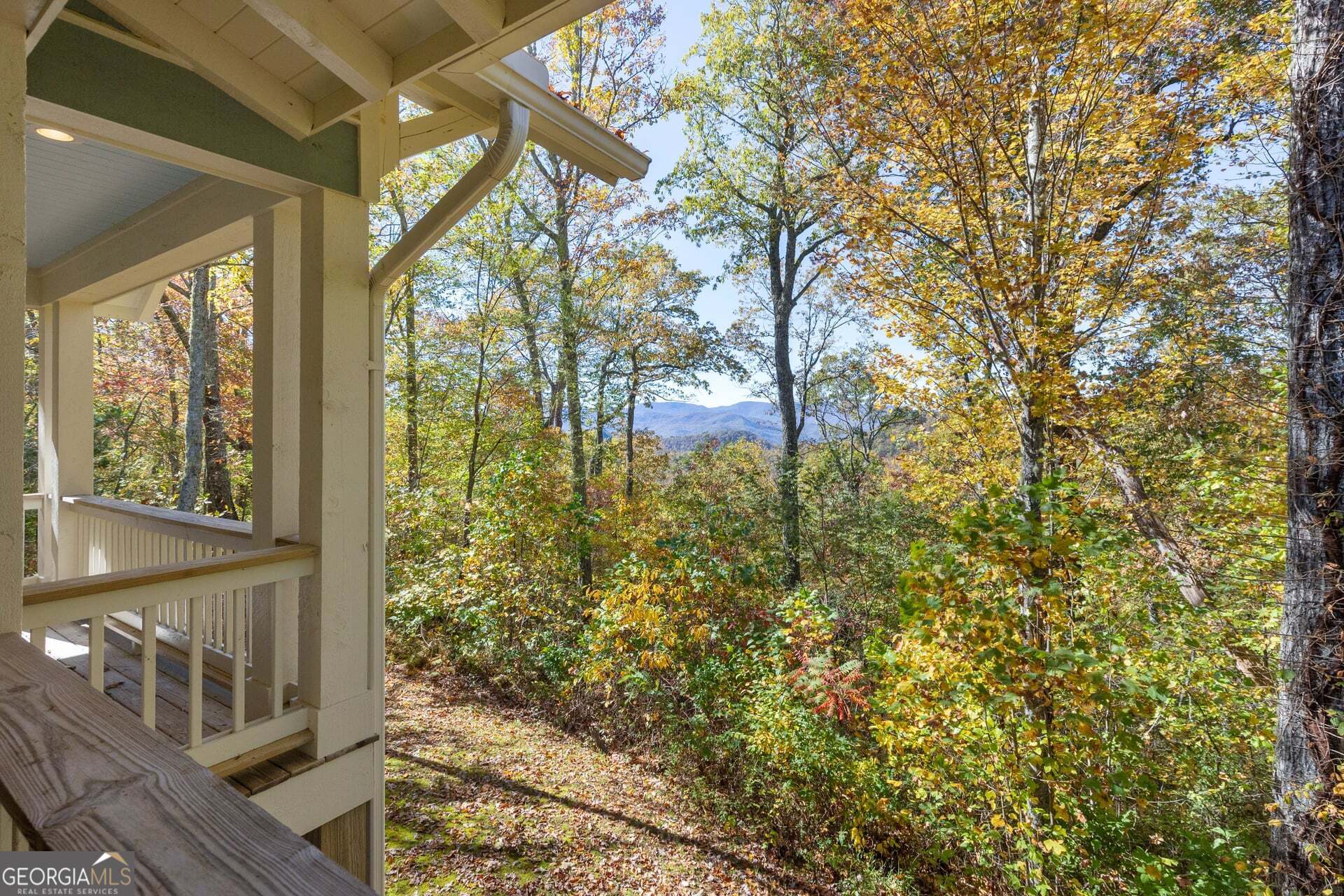 2473 Highland Gap Road Scaly Mountain, NC 28775 - Photo 31 of 93