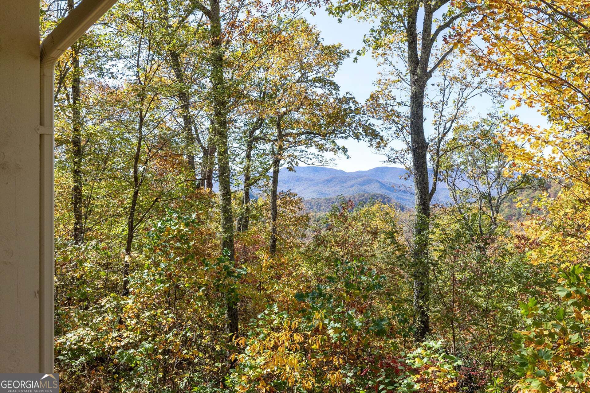 2473 Highland Gap Road Scaly Mountain, NC 28775 - Photo 33 of 93