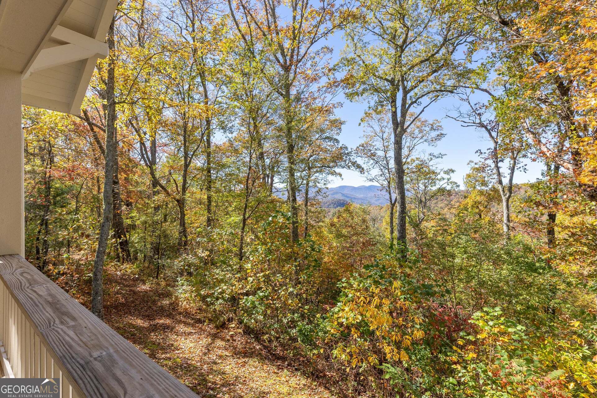 2473 Highland Gap Road Scaly Mountain, NC 28775 - Photo 36 of 93