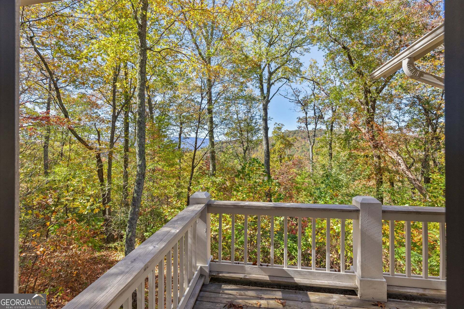 2473 Highland Gap Road Scaly Mountain, NC 28775 - Photo 42 of 93