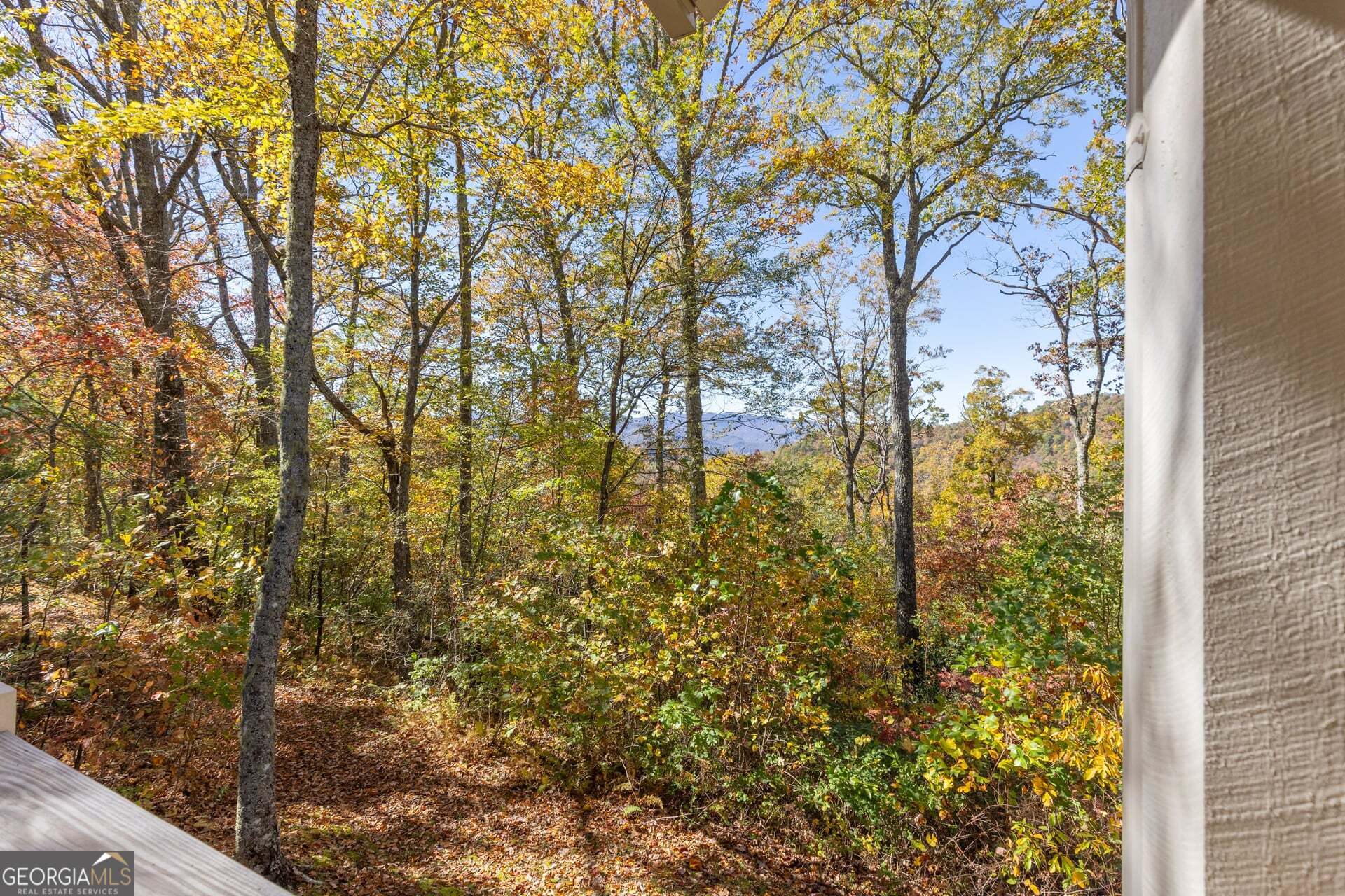 2473 Highland Gap Road Scaly Mountain, NC 28775 - Photo 47 of 93