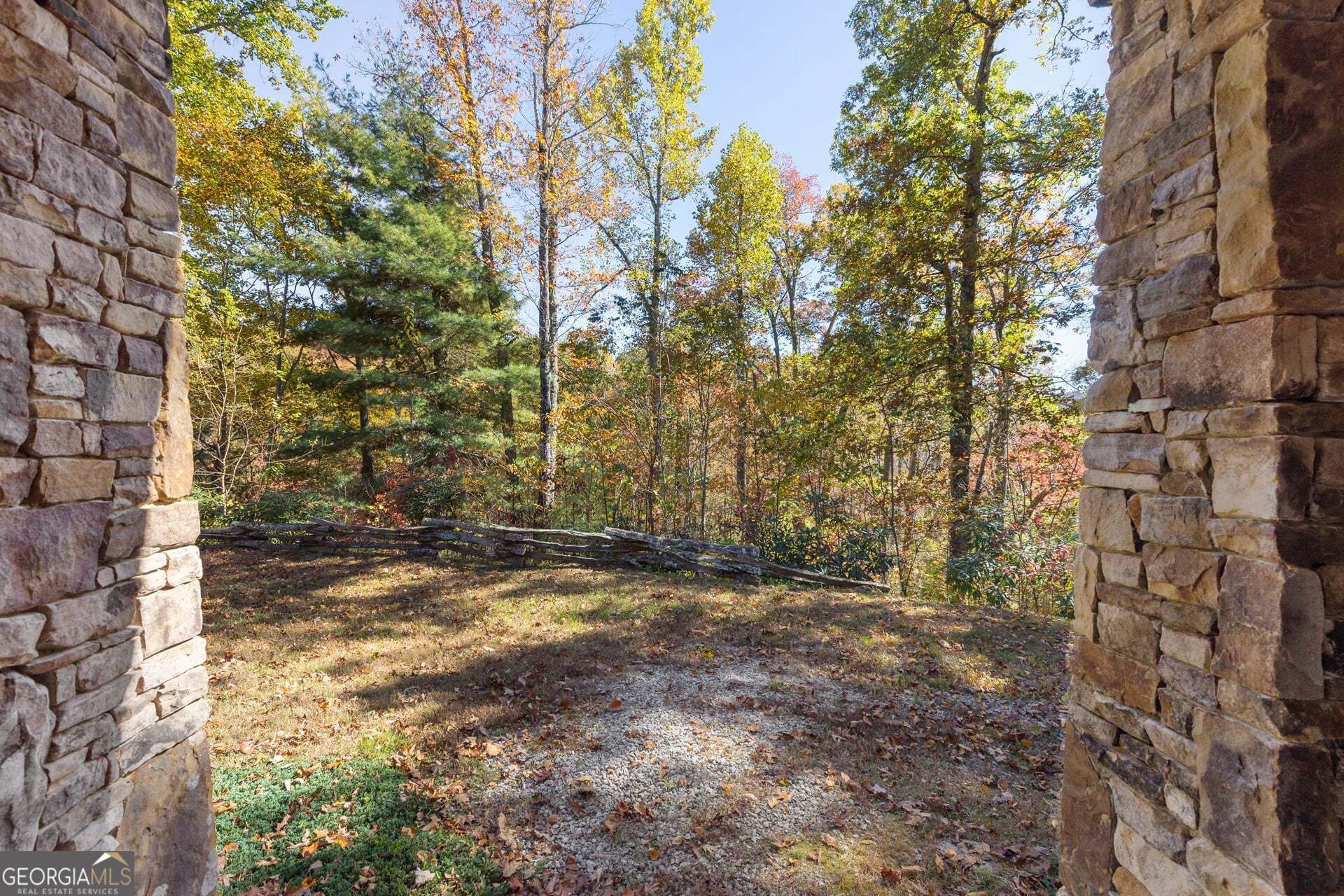 2473 Highland Gap Road Scaly Mountain, NC 28775 - Photo 80 of 93 a view of a yard with a tree