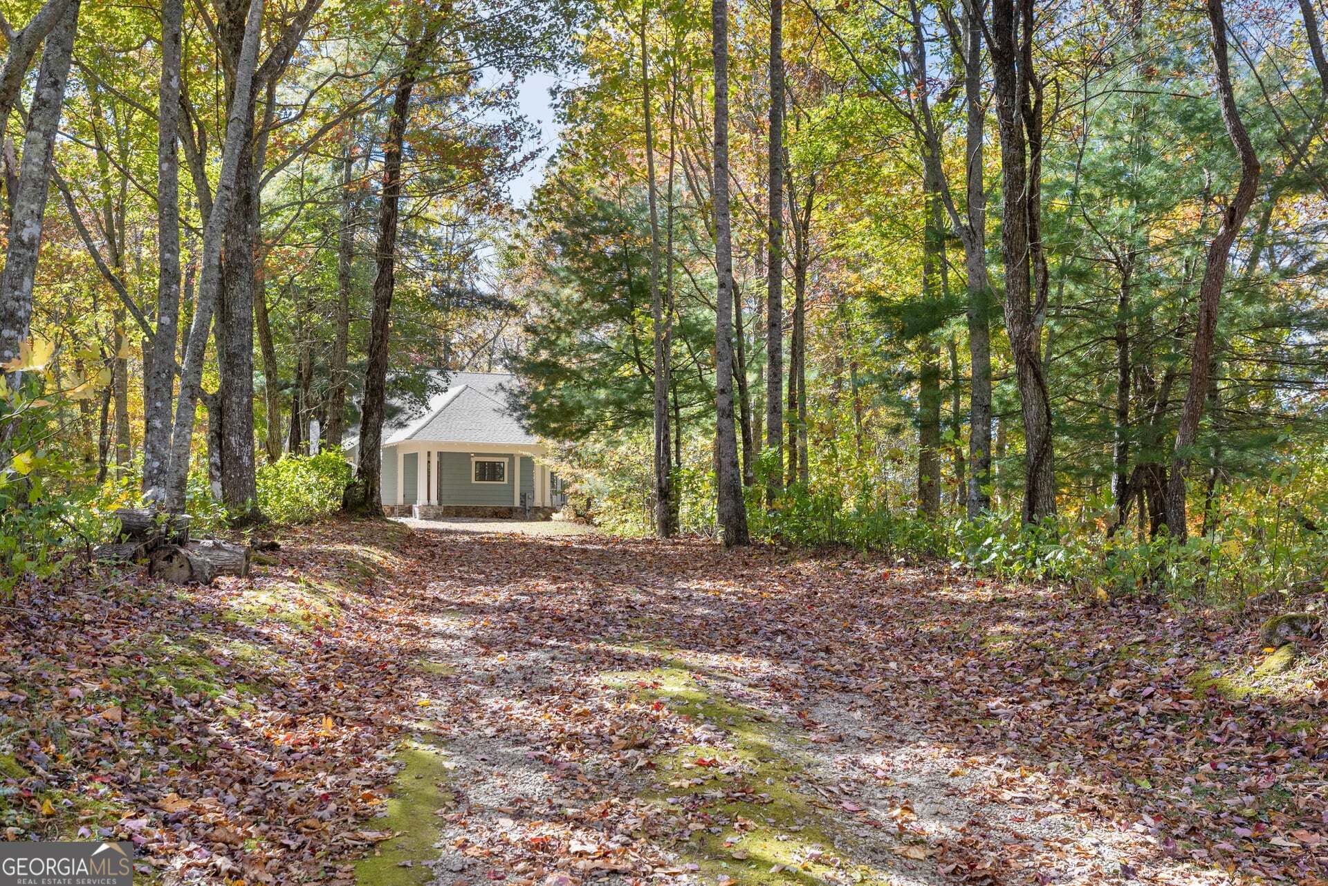 2473 Highland Gap Road Scaly Mountain, NC 28775 - Photo 83 of 93