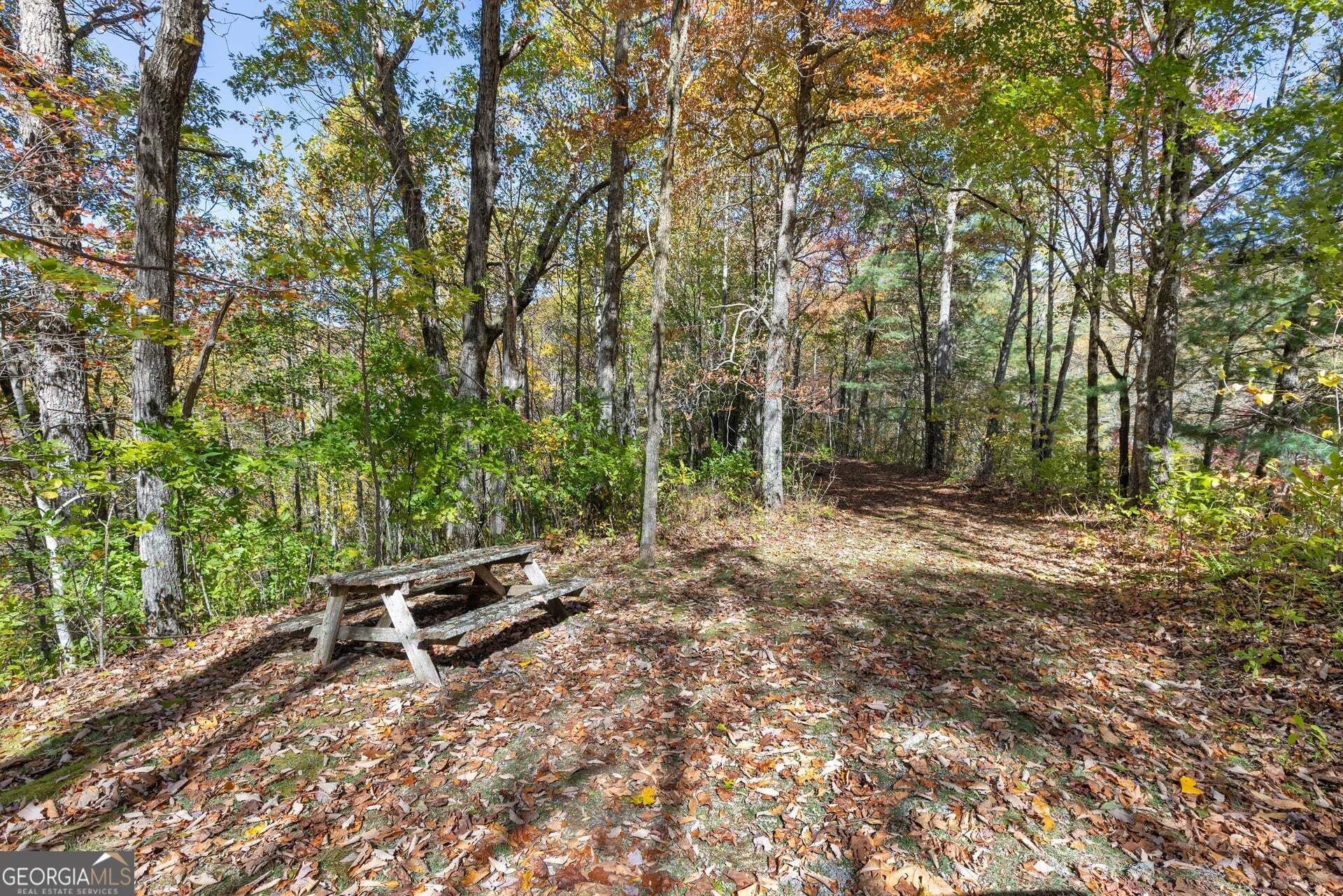 2473 Highland Gap Road Scaly Mountain, NC 28775 - Photo 84 of 93 a bench is sitting in the middle of a forest