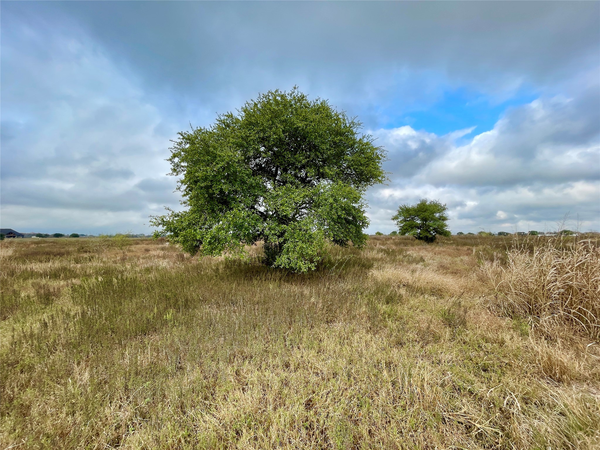 16887 Bosse Road Washington, TX 77880 - Photo 11 of 22