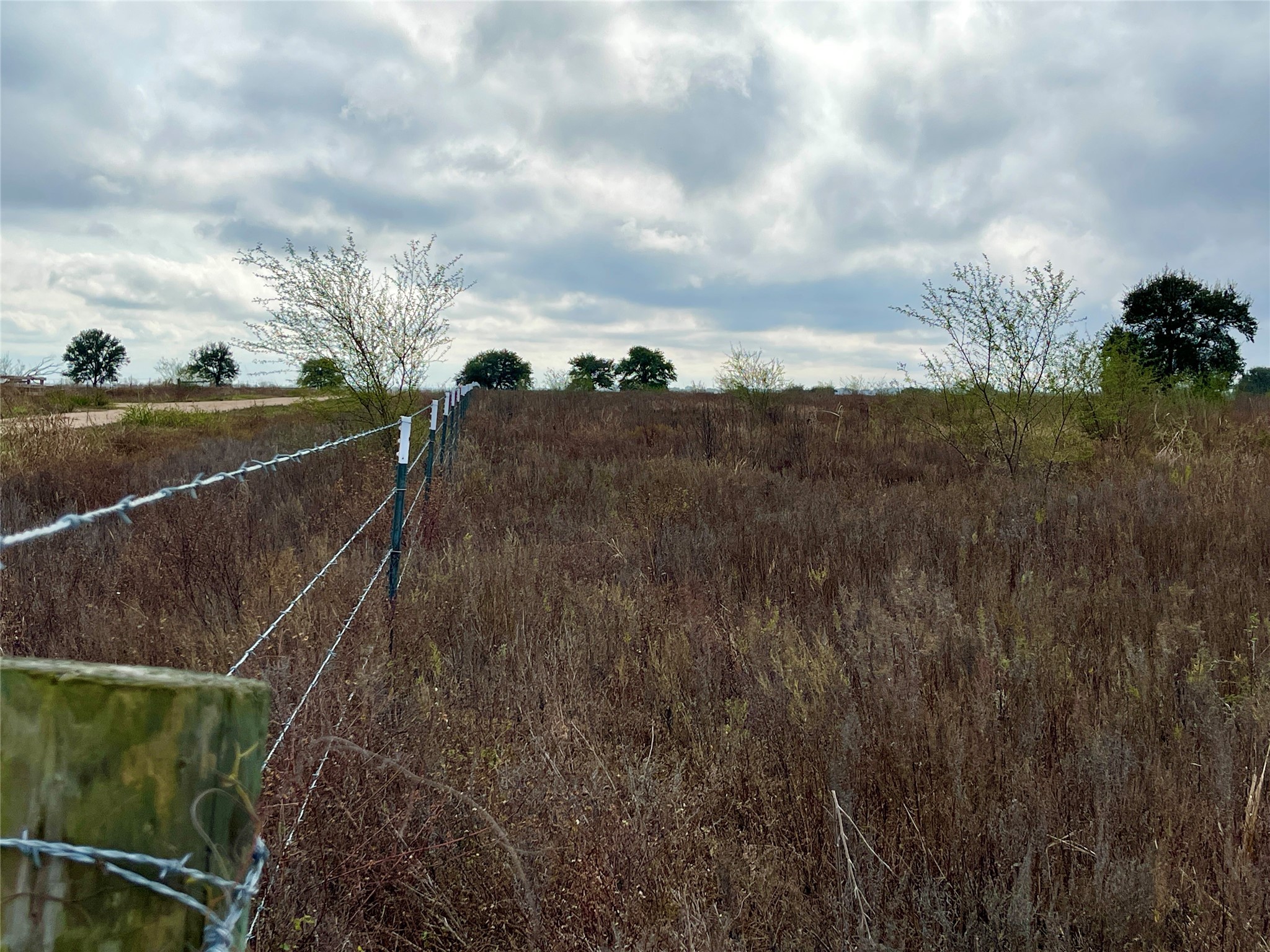 16887 Bosse Road Washington, TX 77880 - Photo 14 of 22