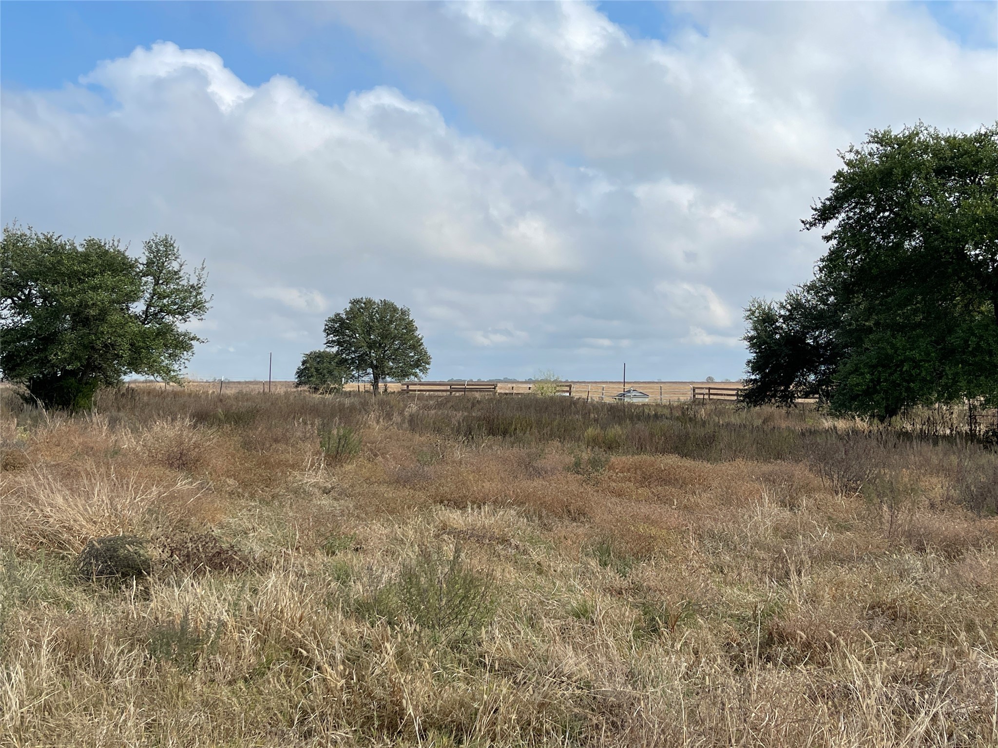 16887 Bosse Road Washington, TX 77880 - Photo 16 of 22