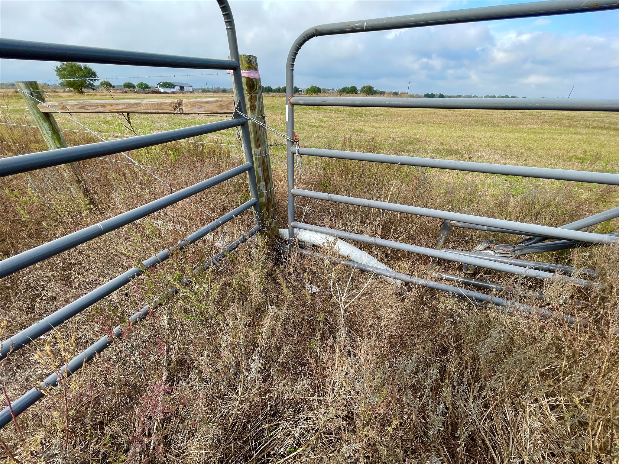 16887 Bosse Road Washington, TX 77880 - Photo 17 of 22