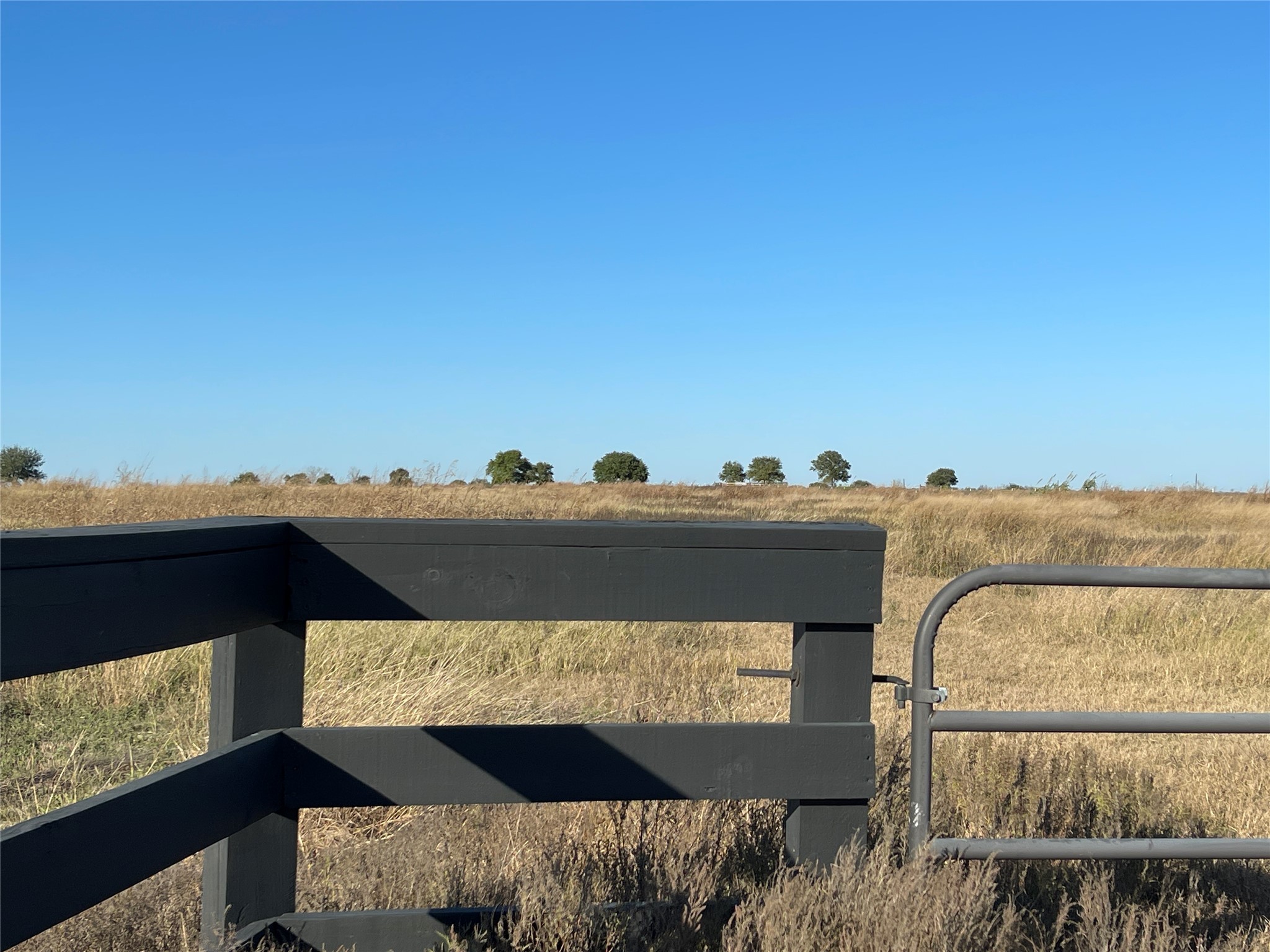 16887 Bosse Road Washington, TX 77880 - Photo 2 of 22