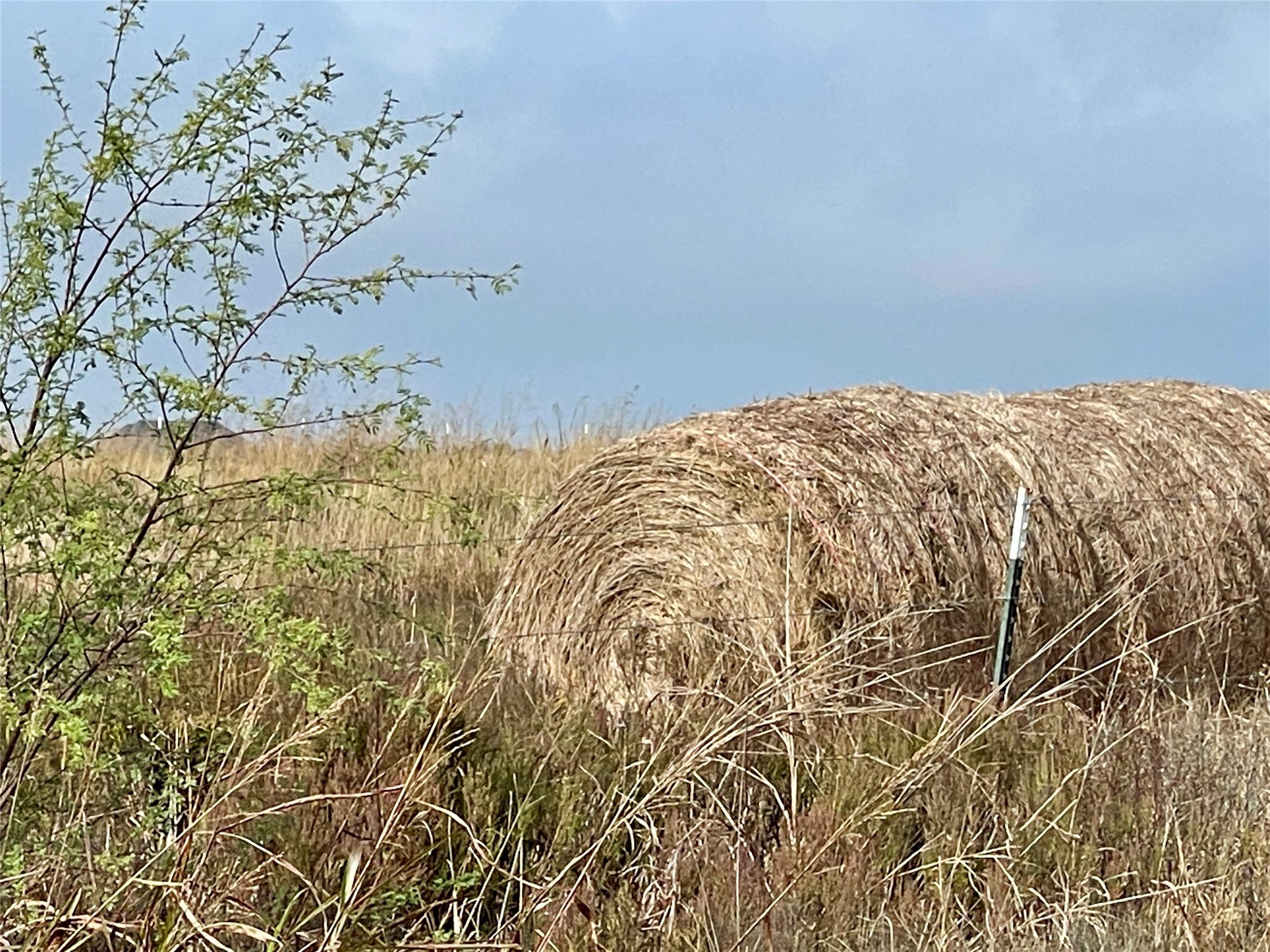 16887 Bosse Road Washington, TX 77880 - Photo 5 of 22