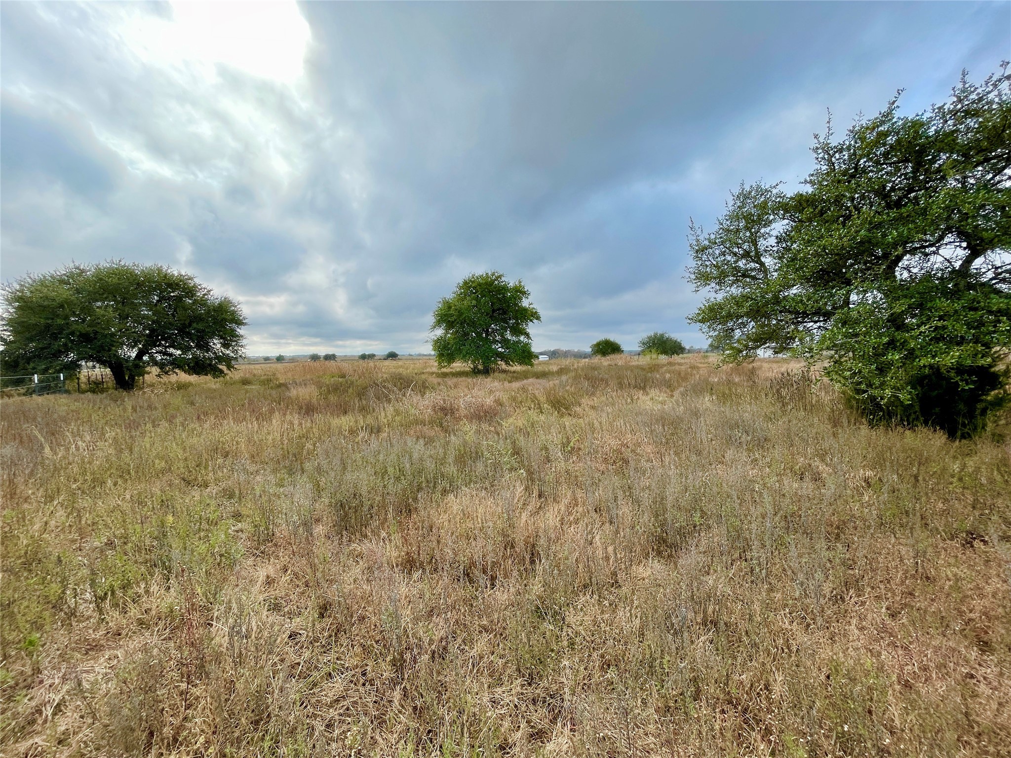 16887 Bosse Road Washington, TX 77880 - Photo 6 of 22