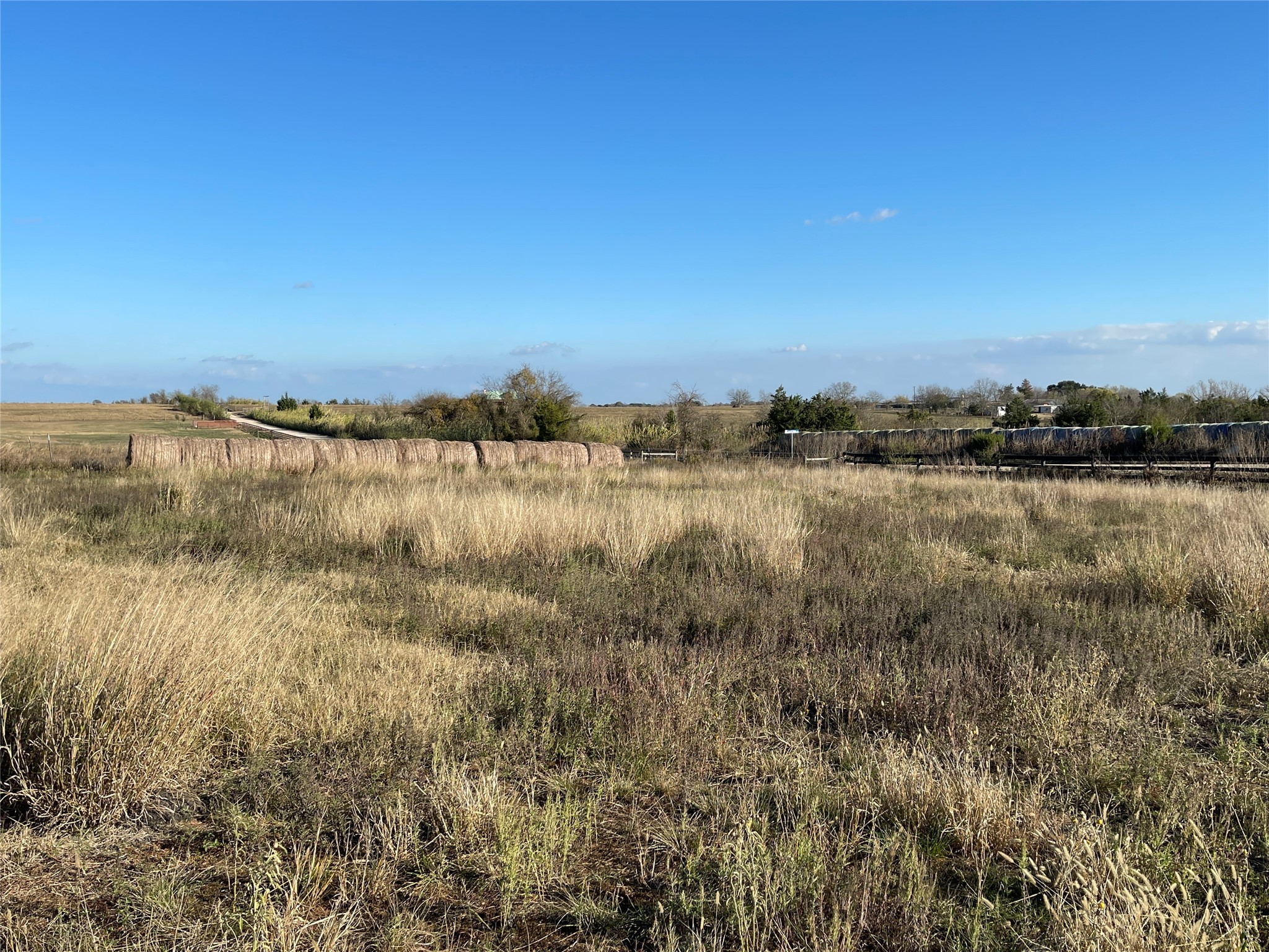 16887 Bosse Road Washington, TX 77880 - Photo 7 of 22