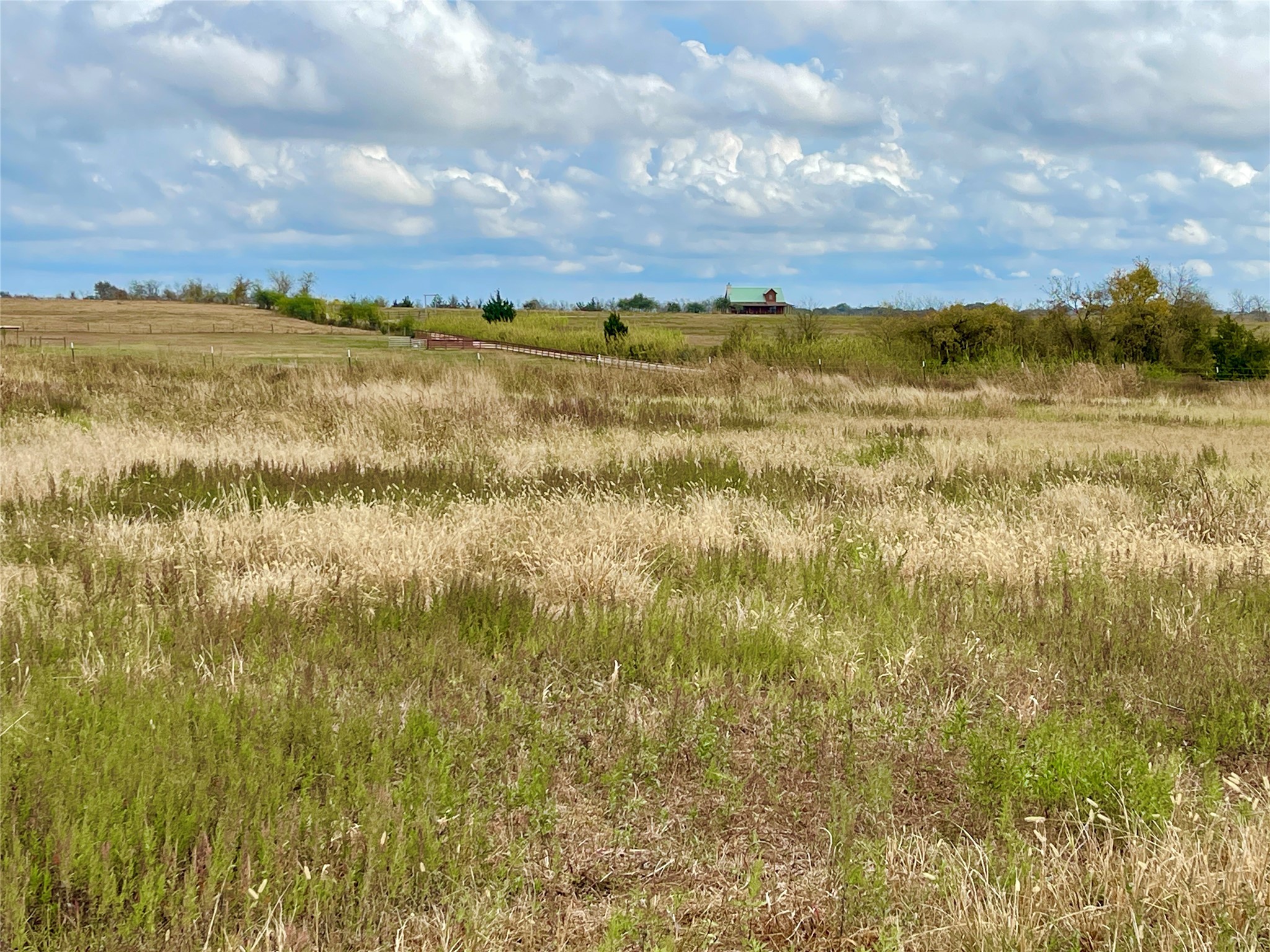 16887 Bosse Road Washington, TX 77880 - Photo 8 of 22