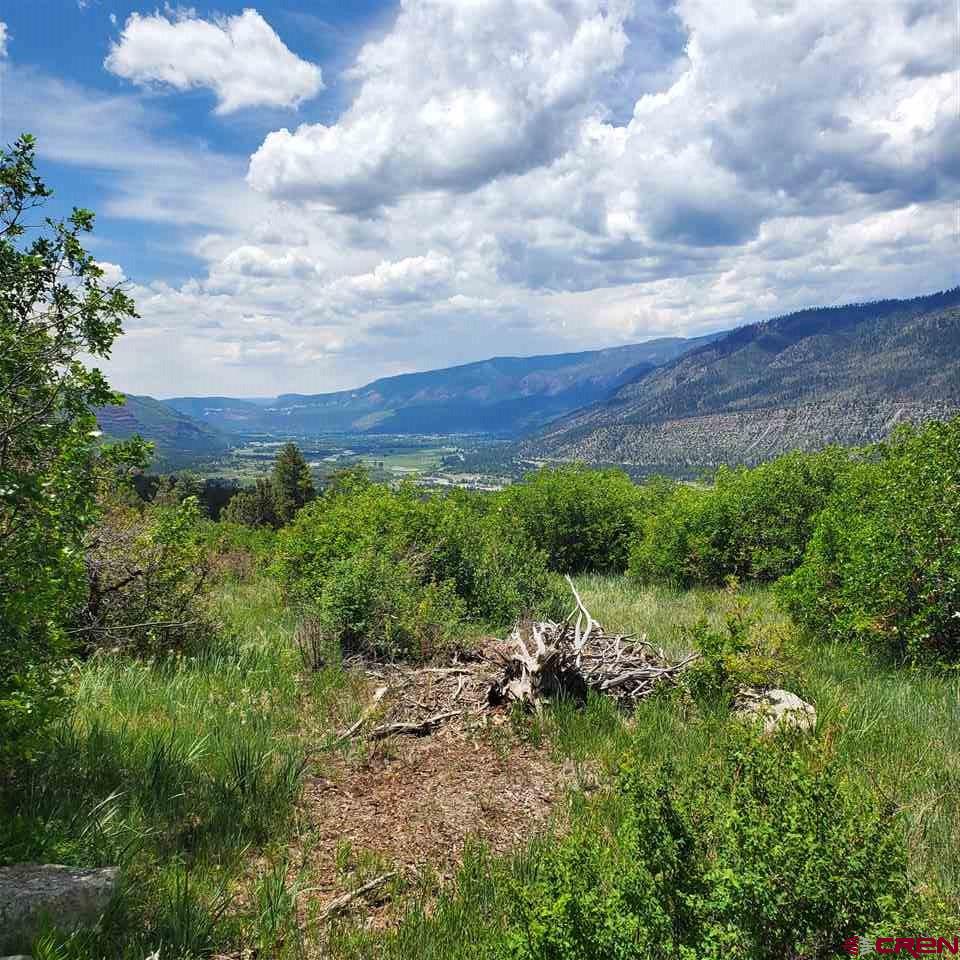 4247 Elkhorn Mountain Road Durango, CO 81301 - Photo 2 of 16 Gallery Image 2