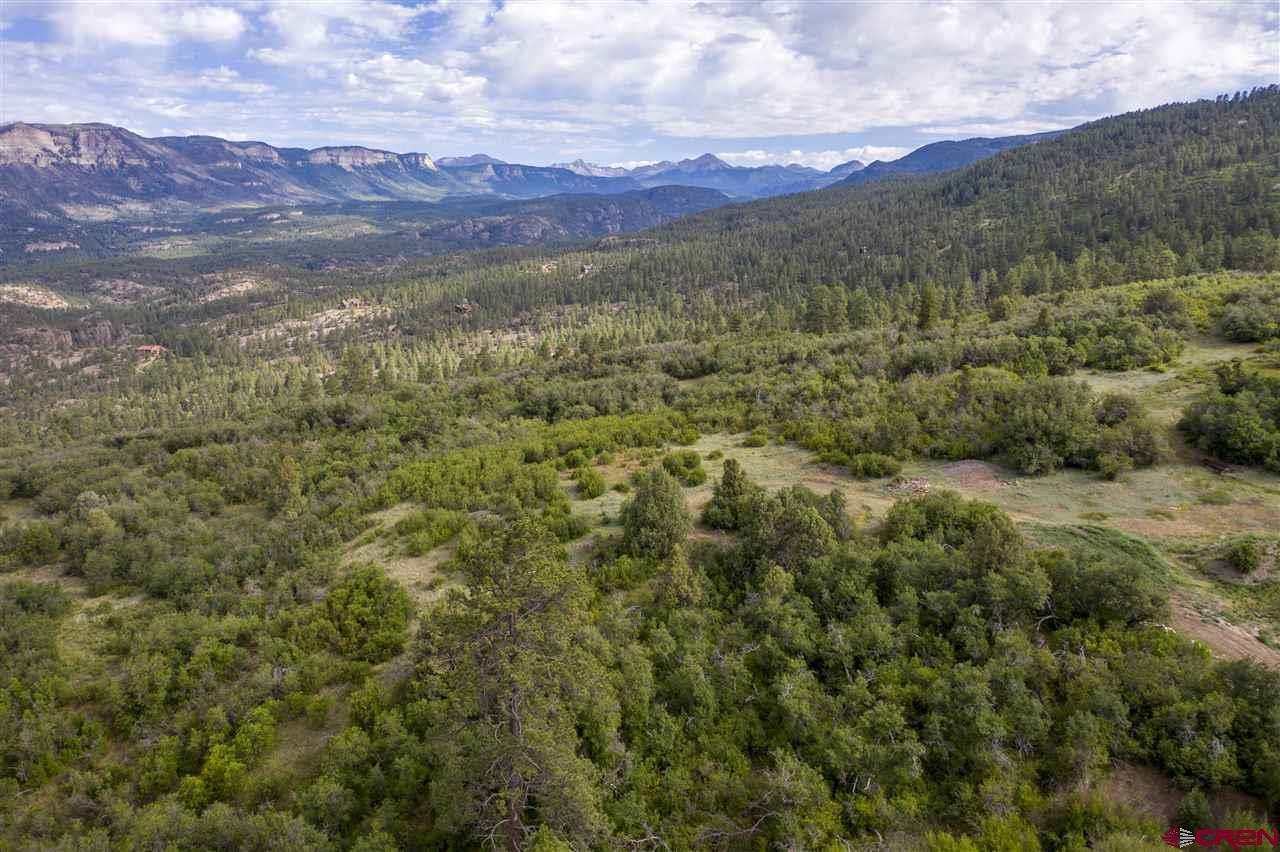 4247 Elkhorn Mountain Road Durango, CO 81301 - Photo 12 of 16 Gallery Image 12