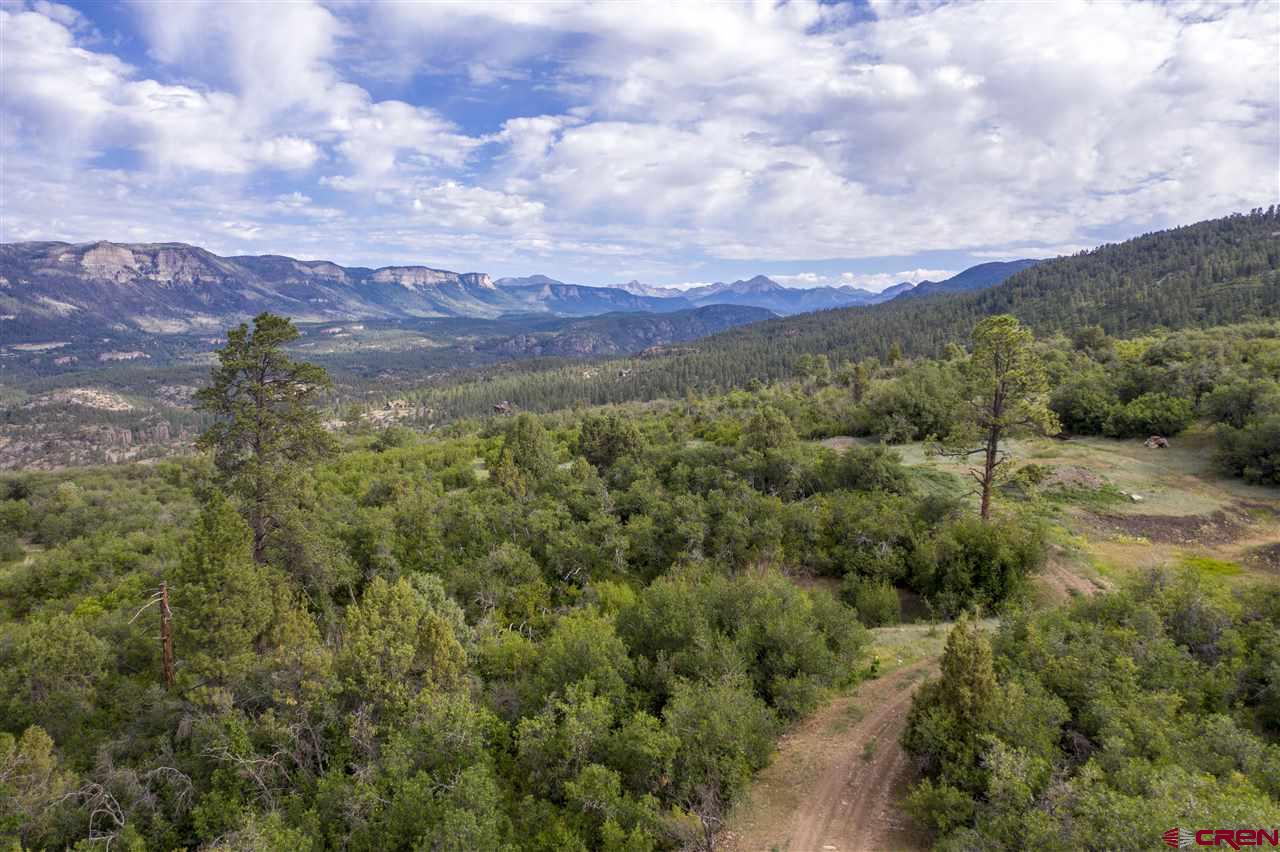 4247 Elkhorn Mountain Road Durango, CO 81301 - Photo 14 of 16 Gallery Image 14