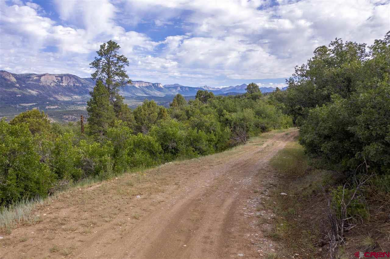 4247 Elkhorn Mountain Road Durango, CO 81301 - Photo 15 of 16 Gallery Image 15