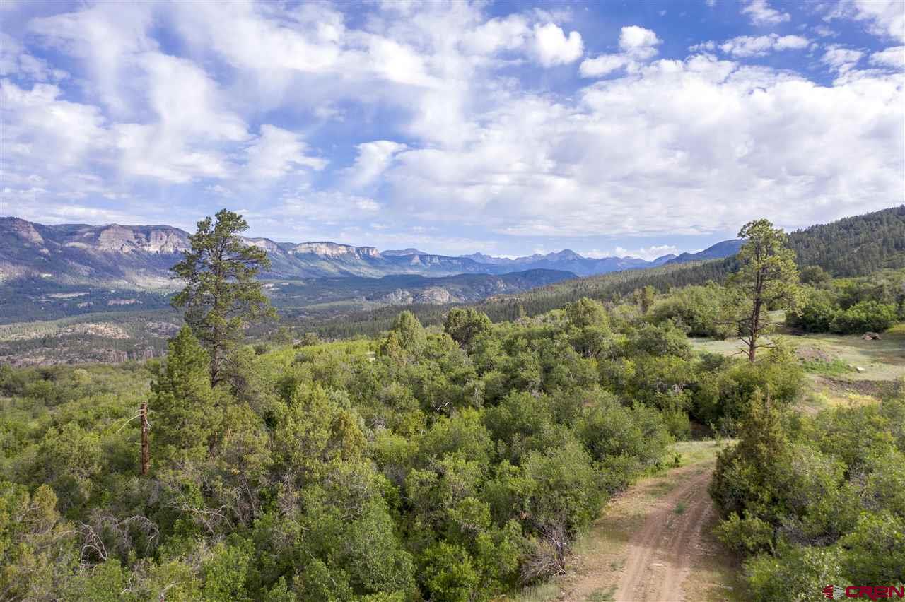 4247 Elkhorn Mountain Road Durango, CO 81301 - Photo 16 of 16 Gallery Image 16