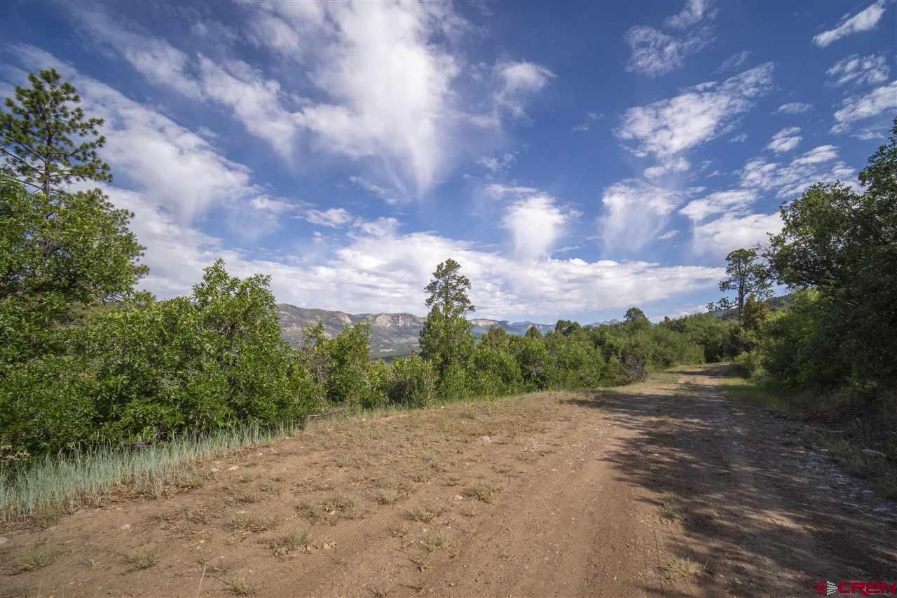 4247 Elkhorn Mountain Road Durango, CO 81301 - Photo 4 of 16 Gallery Image 4