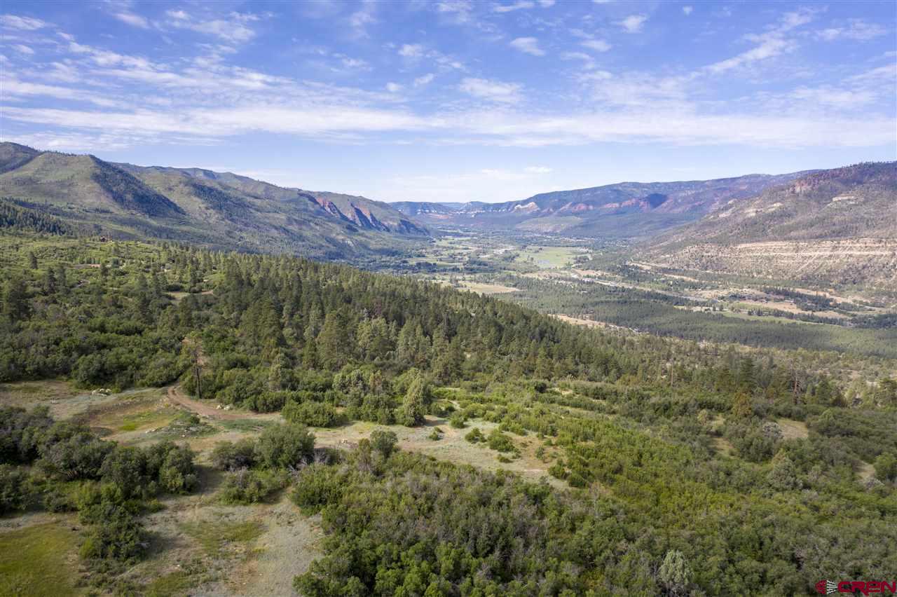 4247 Elkhorn Mountain Road Durango, CO 81301 - Photo 5 of 16 Gallery Image 5
