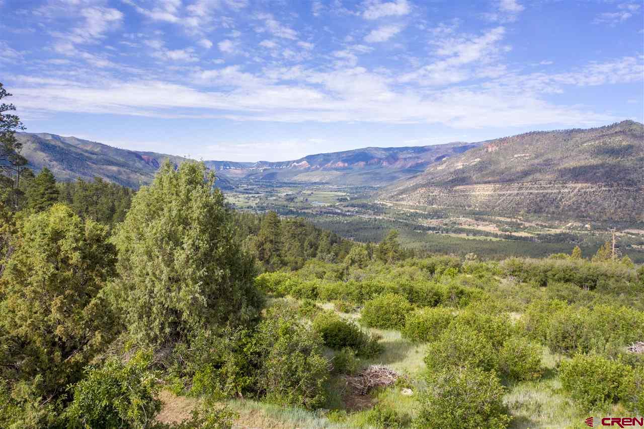 4247 Elkhorn Mountain Road Durango, CO 81301 - Photo 6 of 16 Gallery Image 6