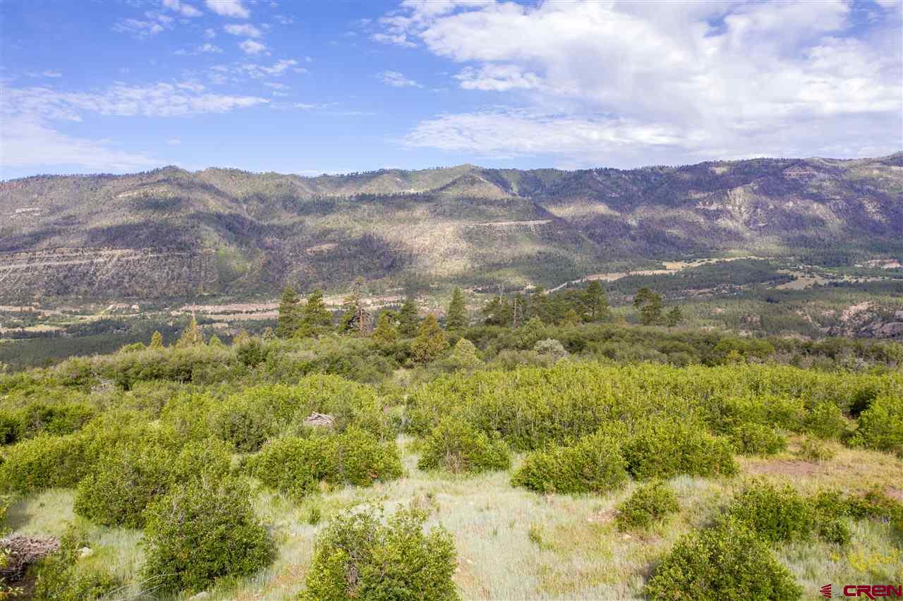 4247 Elkhorn Mountain Road Durango, CO 81301 - Photo 7 of 16 Gallery Image 7