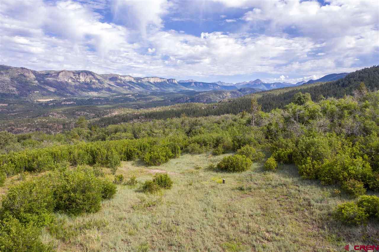 4247 Elkhorn Mountain Road Durango, CO 81301 - Photo 8 of 16 Gallery Image 8