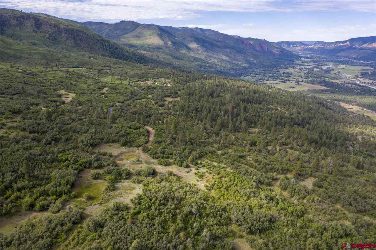4247 Elkhorn Mountain Road Durango, CO 81301 - Photo 9 of 16 Gallery Image 9