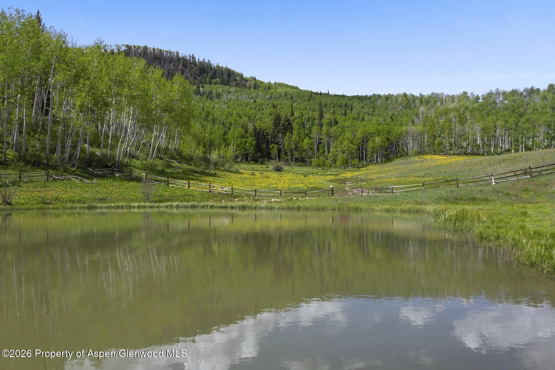 6855 Capitol Creek Road Snowmass, CO 81654 - Photo 73 of 79