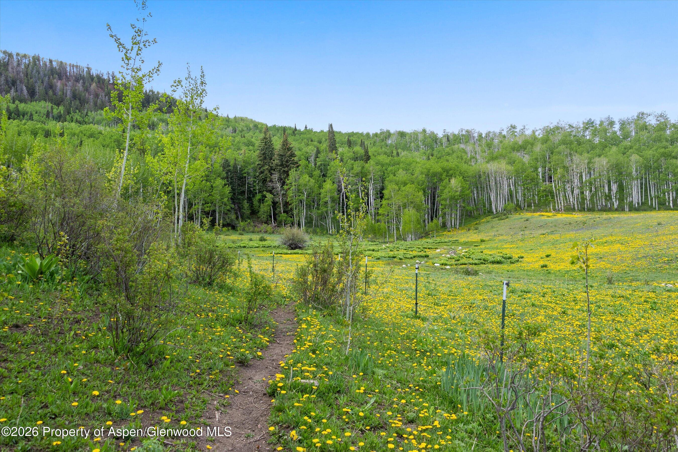 6855 Capitol Creek Road Snowmass, CO 81654 - Photo 75 of 79 003-151-6855CapitolCreekRd_2505_0143