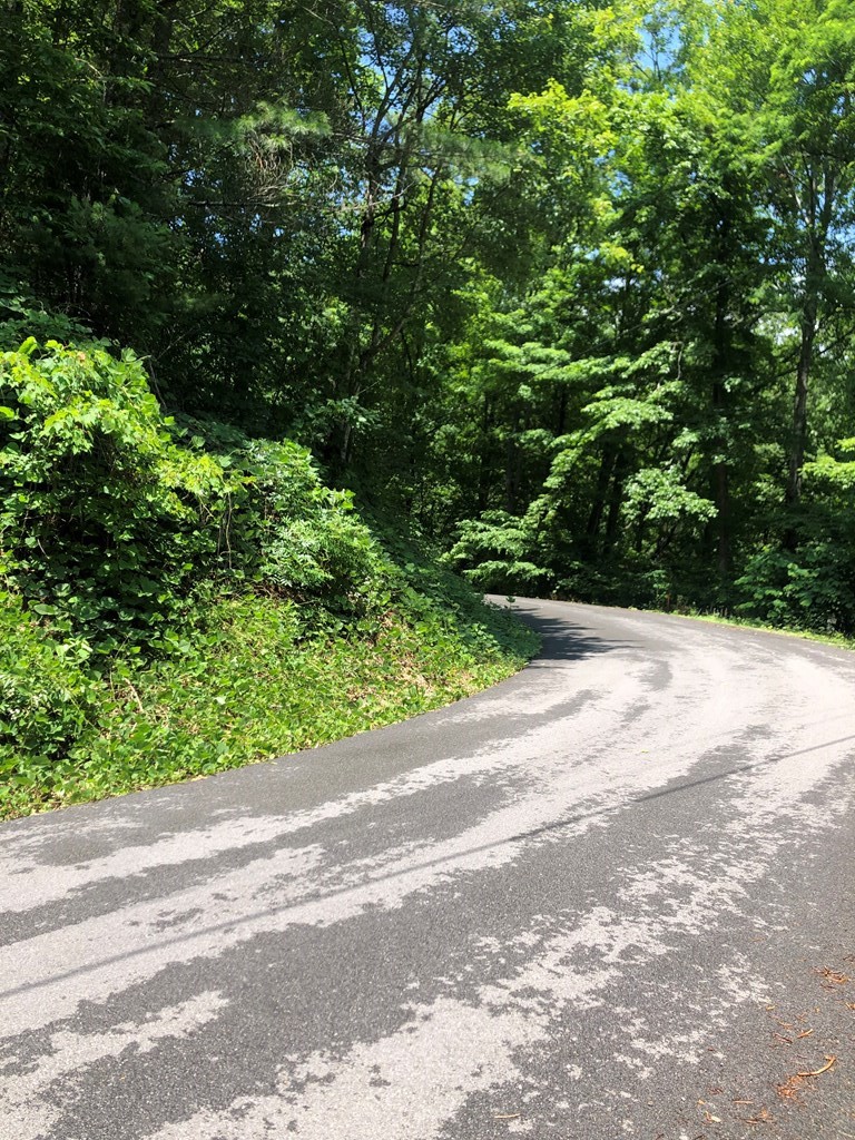 4 Black Walnut Flats Road Sevierville, TN 37862 - Photo 3 of 7