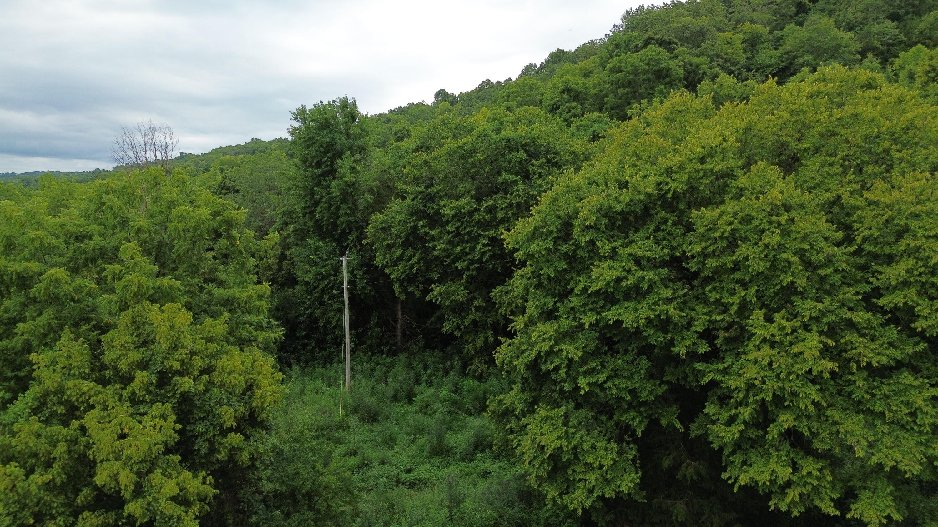 2666 College Hill Road Waco, KY 40385 - Photo 21 of 25 electric pole